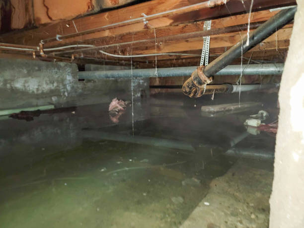 Best Water damage cleanup near me  in Wona Lake, IN