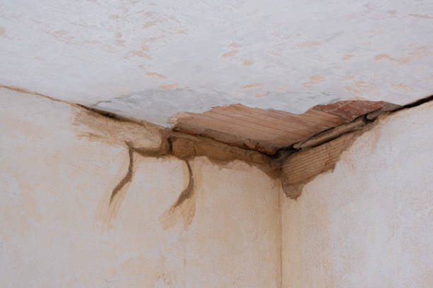 Best Water damage contractors near me  in Wona Lake, IN