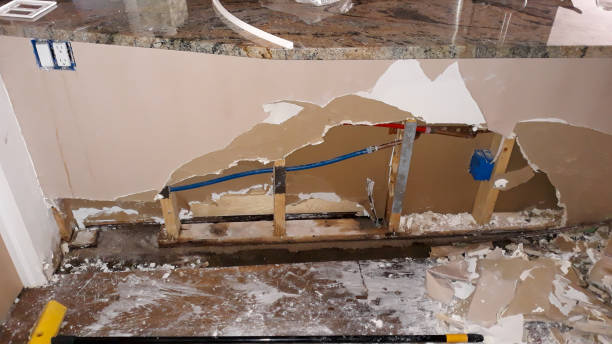 Best Mold removal after water damage  in Wona Lake, IN