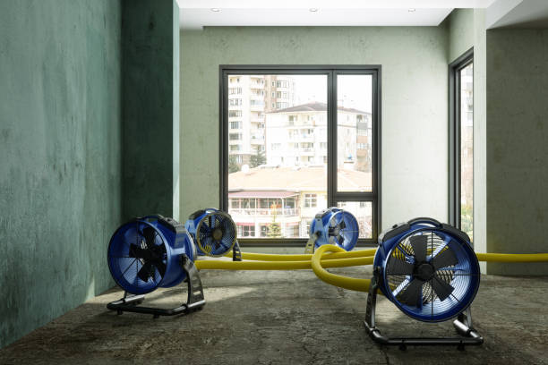 Best Water damage restoration process  in Wona Lake, IN
